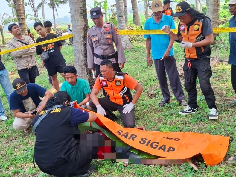Jatuh dari Pohon Kelapa, Pria Lansia di Temon Kulon Progo Meninggal Dunia