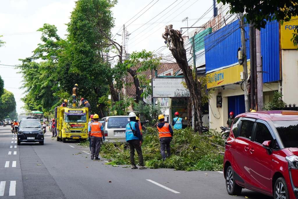 Sambut-Idul-Adha-PLN-Laksanakan-Pemeliharaan-Preventif-Terpadu-di-Kota-Yogyakarta.jpg