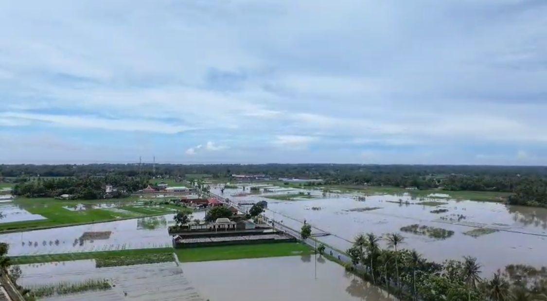 Sekitar-4000-Hektare-Lahan-Pertanian-di-Bantul-Terendam-Banjir.jpg