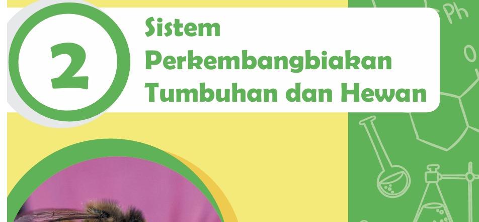 Sistem-Perkembangbiakan-Tumbuhan-dan-Hewan-9.jpg
