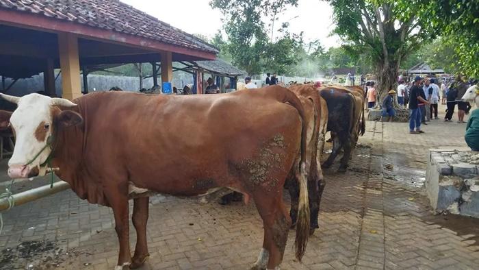 Suasan-Pasar-Hewan-Siyono-Gunungkidul.jpg