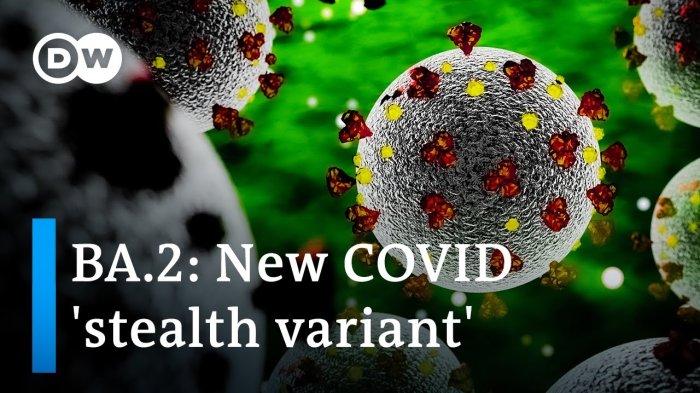 Sub-varian-Omicron-BA2.jpg