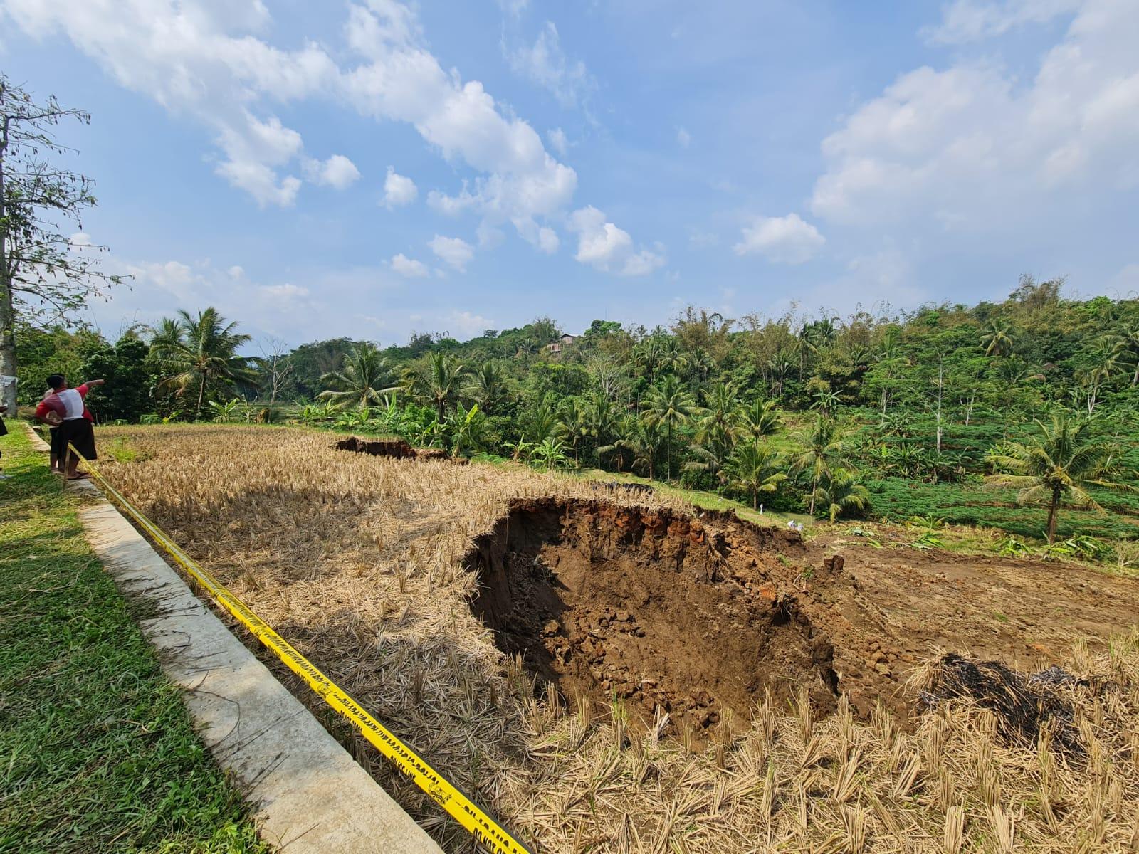Tanah-Longsor-Terjang-Lahan-Pertanian-di-Kajoran-Magelang-Gerus-Sebagian-Hasil-Panen-Petani.jpg