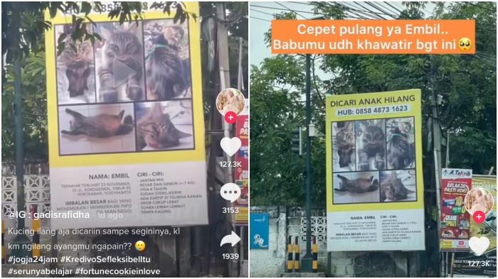 Viral-Kucing-Hilang-Owner-Woro-woro-Pakai-Banner-Gede-di-Pinggir-Jalan.jpg