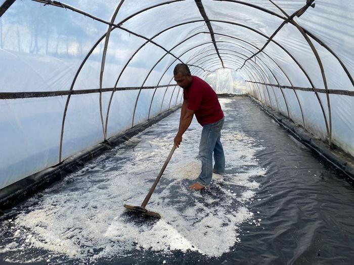 Kisah Sepasang Suami Istri di Bantul, Sukses Produksi Garam Alami dari Hasil Olahan Air Laut