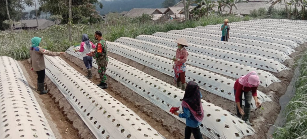 bpbd-magelang-bagikan-6000-masker-untuk-warga.jpg
