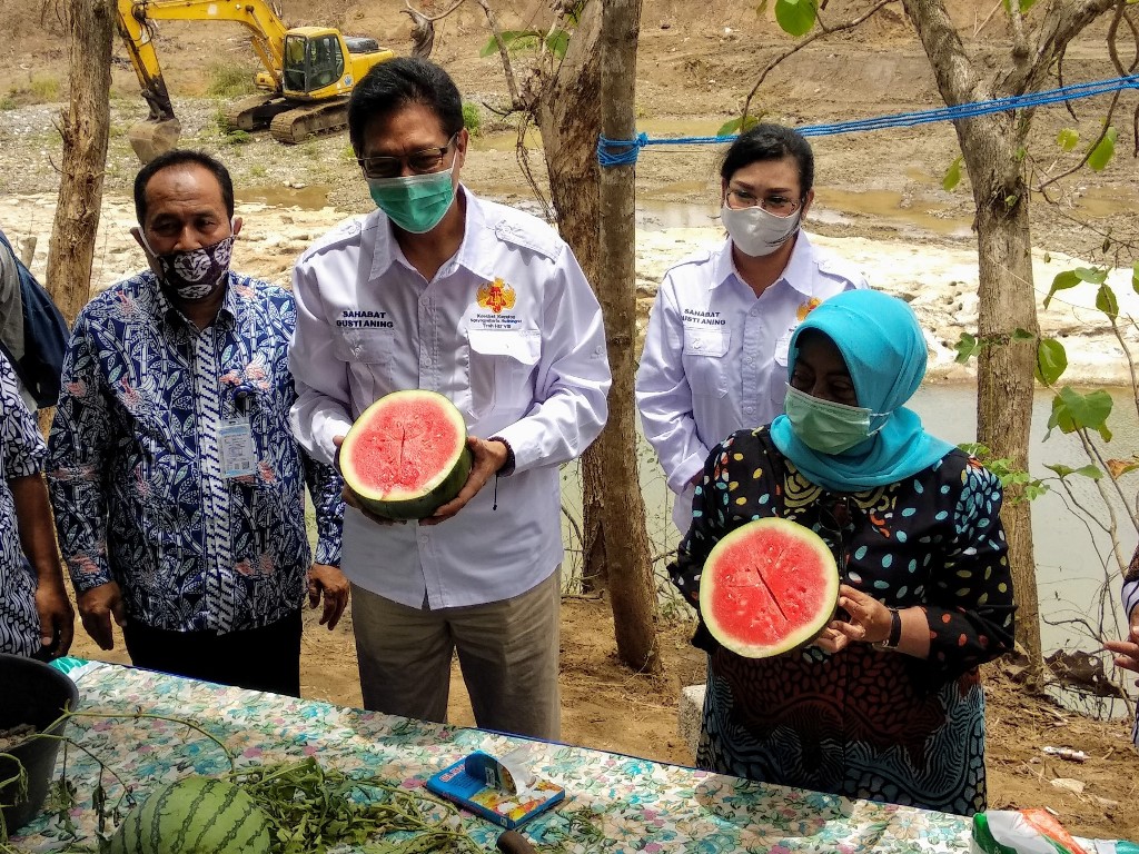 bupati-gunungkidul-ikut-panen-semangka-di-agro-klayar-nglipar.jpg