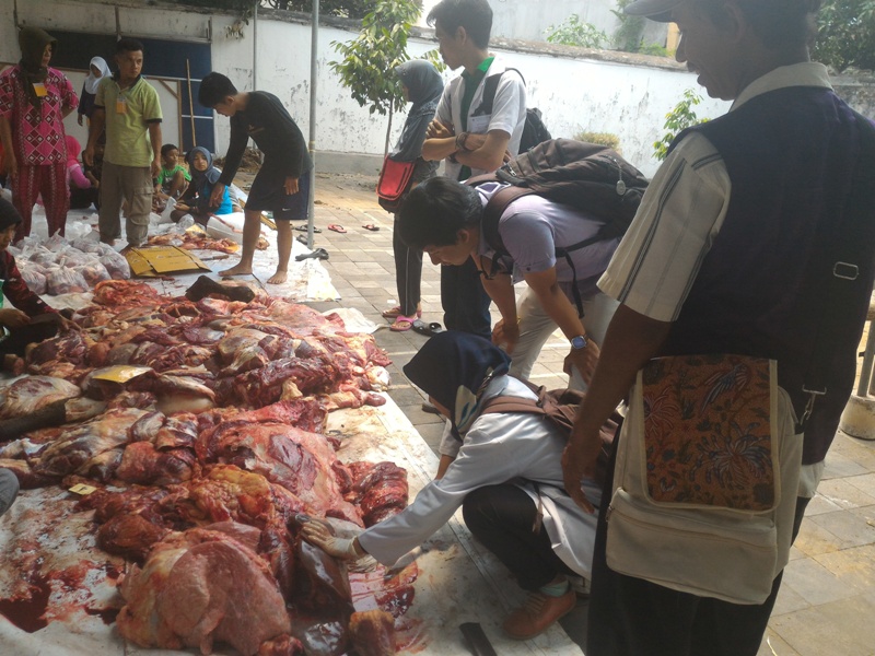 cacing-hati_20150923_135453.jpg