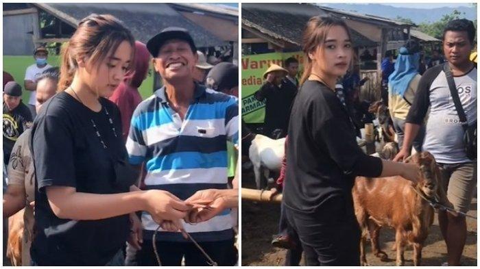 cerita-gadis-cantik-di-wonogiri-jualan-kambing-di-pasar-awalnya-buat-ngusir-bosan-kuliah-daring.jpg