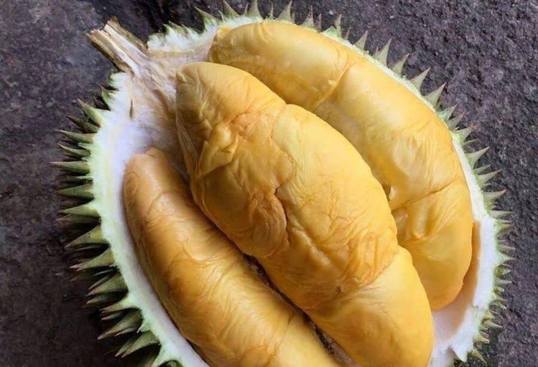daging-durian.jpg