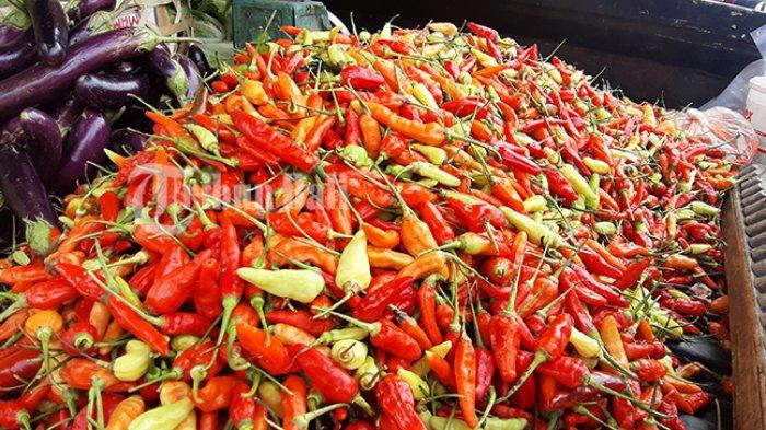 ilustrasi-cabai-rawit-261120.jpg