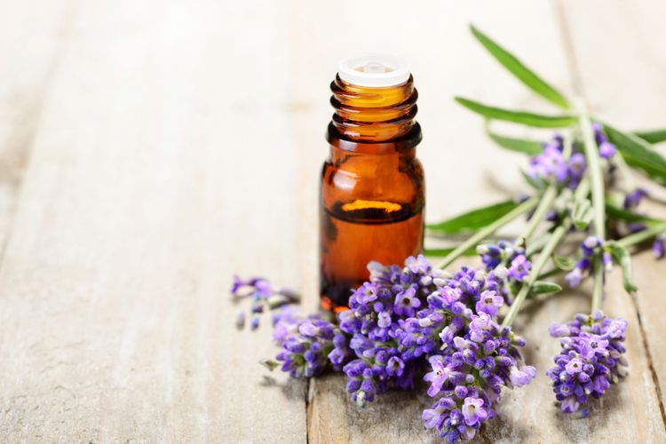 ilustrasi-minyak-esensial-lavender_20181025_134901.jpg