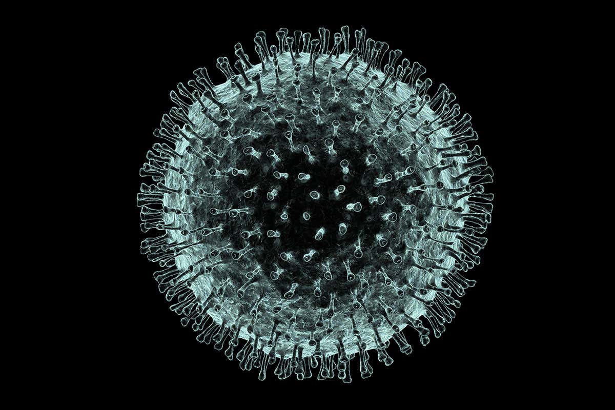 ilustrasi-virus-corona.jpg