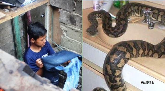 Kisah Remaja 17 Tahun Asal Cianjur yang Harus Menghidupi 3 Adiknya, Ayah Ibunya Tewas Digigit Ular