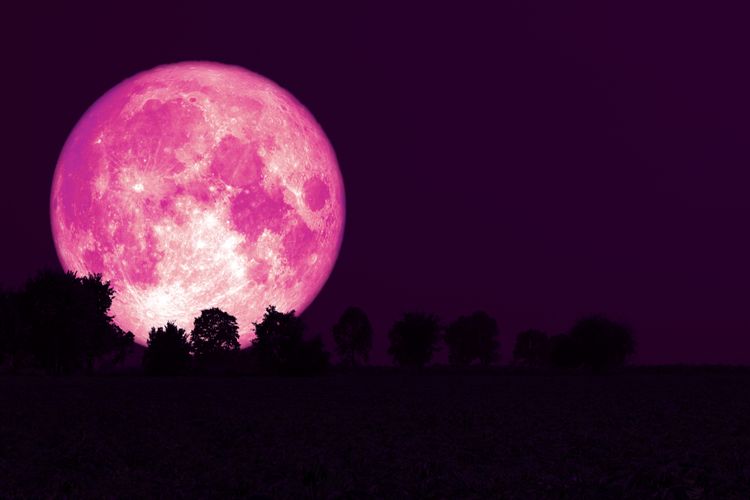 malam-ini-fenomena-bulan-purnama-strawberry-full-moon-puncaknya-pukul-0212-wib.jpg