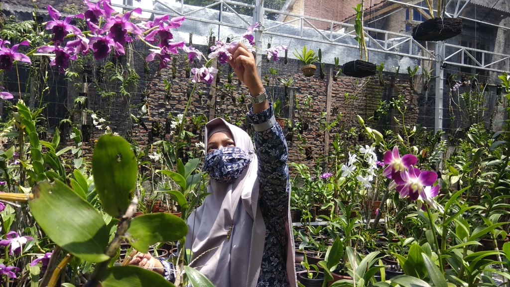 narwati-menunjukkan-tanaman-anggrek-koleksi.jpg