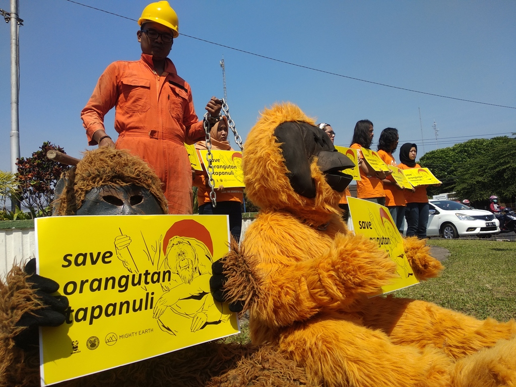 orangutan-di-tapanuli-terancam-gagal-dilindungi-lagi.jpg