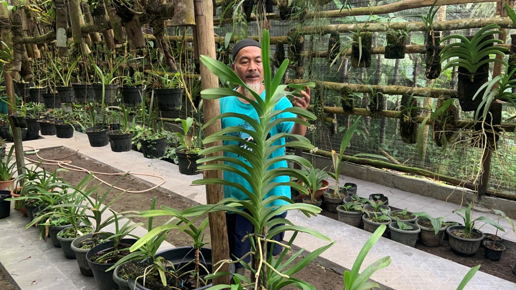 Cerita Musimin Menyelamatkan Mahkota Hutan Lereng Merapi