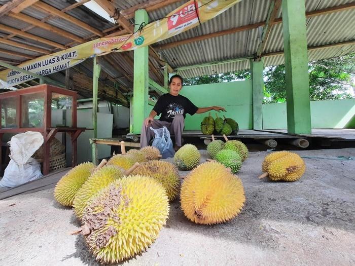 penjual-durian-di-Patuk-Gunungkidul.jpg