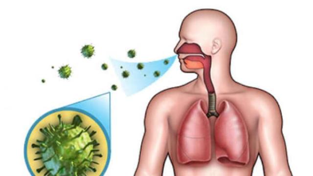 Pahami Cara dan Alur Virus Corona Penyebab COVID-19 Menginfeksi Tubuh