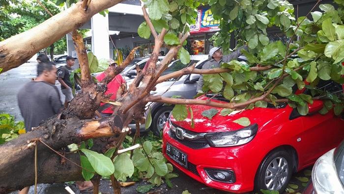 pohon-tumbang-yang-menimpa-mobil-di-Kota-Jogja.jpg