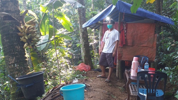 poniran-yang-sedang-melakukan-isolasi-mandiri-di-sebuah-gubuk-bambu.jpg