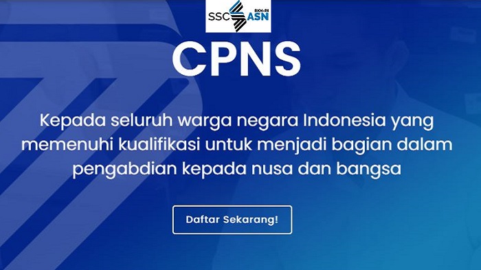 portal-pendaftaran-cpnspppk-2021-di-laman-situs-sscasn-sscasnbkngoid.jpg