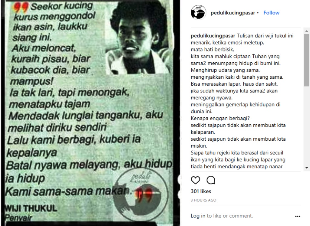 Ikki jinsli tortlik surati Ikki jinsli tortlik surati