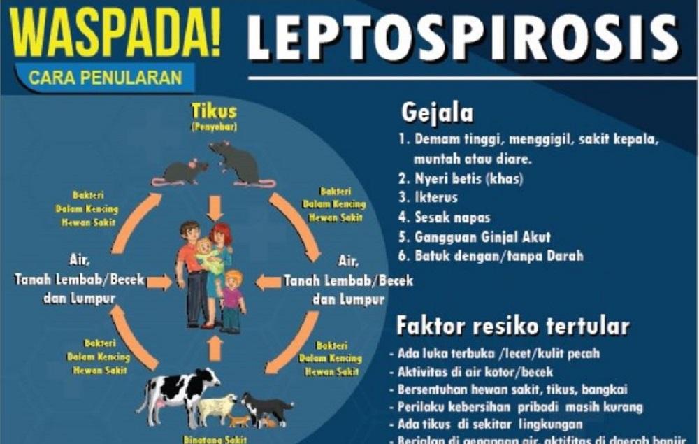 sebanyak-76-kasus-leptospirosis-terjadi-di-klaten-pada-2025.jpg