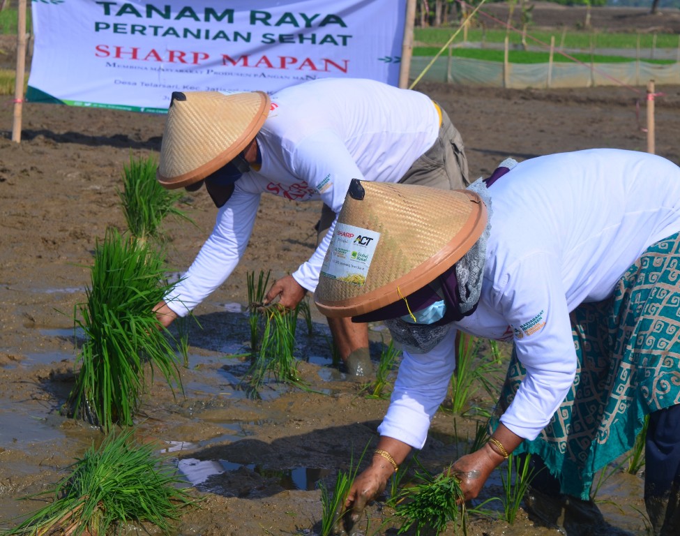 sharp-tingkatkan-kesejahteraan-petani-di-masa-pandemi-melalui-program-sharp-mapan.jpg
