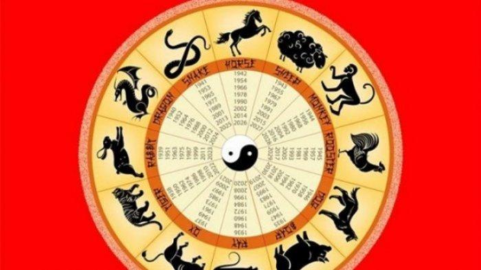 shio-2019-tahun-babi-tanah-ramalan-lengkap-shio-tikus-naga-ular-hingga-anjing.jpg