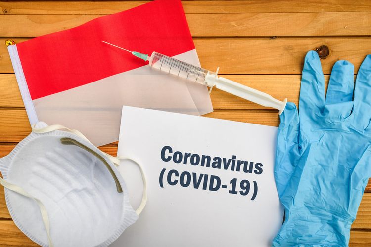 update-virus-corona-indonesia-hari-ini-jumlah-pasien-positif-covid-19-bertambah-jadi-19-orang1.jpg