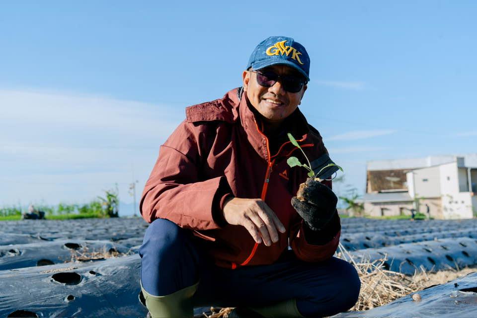 Membangun Ketahanan Pangan dan Ekonomi Melalui Budidaya Sayuran