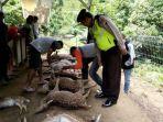 12-rusa-tutul-penangkaran-coban-jahe-mati-di-lehernya-ditemukan-bekas-gigitan.jpg