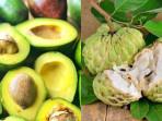 Alpukat-dan-Srikaya.jpg