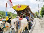 Anggota-Komisi-A-DPRD-DIY-KPH-Purbodiningrat-naik-gerobak-sapi.jpg