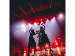 BABYMETAL.jpg