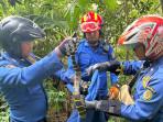BPBD-Bantul-evakuasi-ular-cincin-emas.jpg