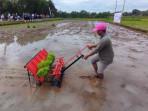 BRMP DIY Kenalkan Alat Tanam Padi Manual ke Petani Kulon Progo,  Tanam 1 Hektare Hanya Butuh 3 Jam