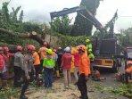 Breaking-News-Pasutri-Tewas-Tertimpa-Pohon-Tumbang-di-Ringroad-Monjali-Sleman.jpg