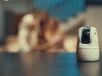 Canon-PowerShot-PICK-Kamera-Portabel-Pintar-yang-Dapat-Mengambil-Foto-atau-Video-Secara-Otomatis.jpg