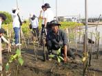 Derap-Langkah-Kasno-dan-Komunitas-Mangrove-Semarang-Jaga-Pesisir-dari-Gempuran-Abrasi.jpg