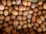 Harga Telur di Bantul Tembus Rp30 Ribu per Kilogram, Ini Kata Pedagang