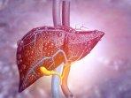 Hepatitis-Akut-Menyerang-Anak-Berikut-Laporan-228-Kasus-di-20-Negara-Gejal-gejalanya-Menurut-WHO.jpg