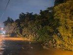 Hujan-Deras-di-Jogja-Rumpun-Bambu-di-Bantaran-Gajahwong-Roboh-Tak-Kuat-Menahan-Arus-Sungai.jpg
