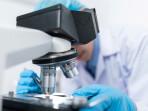 ILUSTRASI-FOTO-Uji-Laboratorium-Uji-Lab-Hasil-Tes-Laboratorium-Hasil-Tes-Lab.jpg