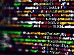 Ilustrasi-foto-programmer-programming-coder-coding.jpg