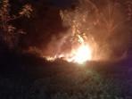 Lahan Seluas 4000 Meter di Bantul Terbakar, Diduga Karena Aktivitas Pembakaran Sampah