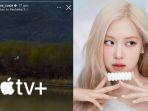Kolase-Rose-Blackpink.jpg