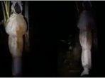 Kolase-penampakan-pocong-viral-di-medsos.jpg